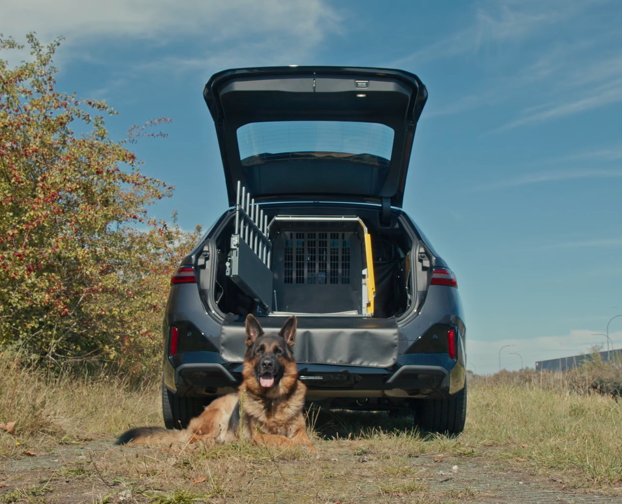 Hondenrek of hondenbench in de auto: wat is veiliger?