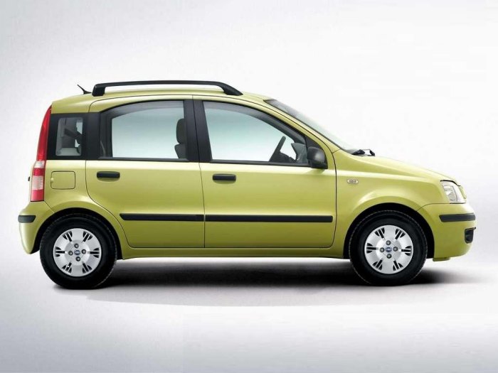 Stootstrips Fiat Panda II 2003-2012 5-deurs hatchback set zijportieren