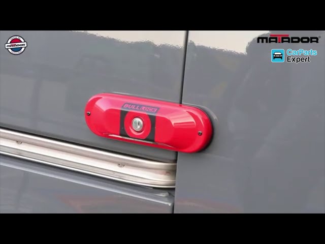 Diebstahlsicherung Fiat Ducato III Hecktüren