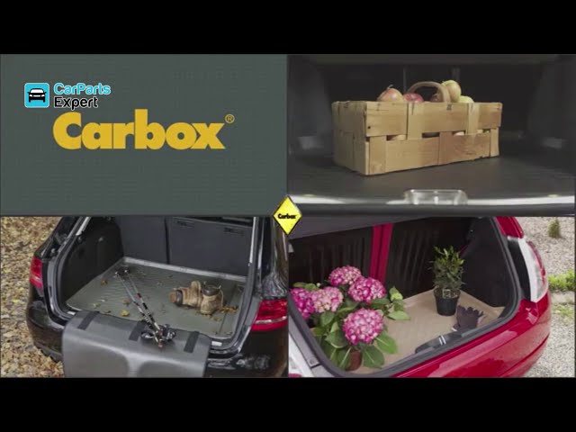 Video 1 boot mat Carbox Form DE